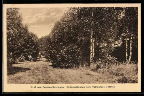 AK Schmachtenhagen, Birkenwäldchen vom Restaurant Motzkau