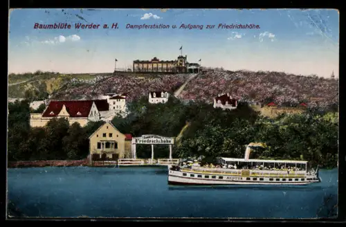 AK Werder a. H., Gasthaus Friedrichshöhe Friedrich Schmahlfeldt, Ansicht vom Wasser, mit Dampfer