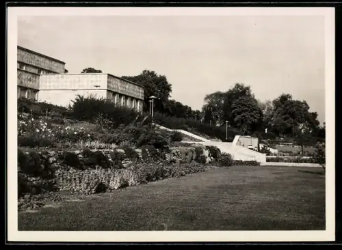 AK Frankfurt-Westend, I. G. Farbenindustrie Aktiengesellschaft, Park mit Treppen und Rasenfläche