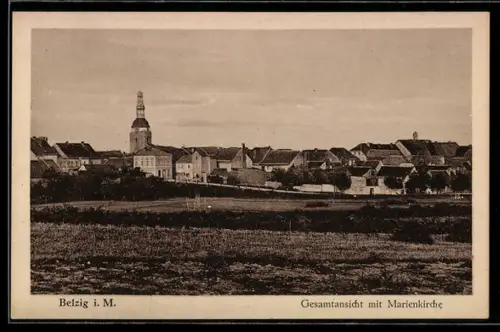 AK Belzig i. M., Gesamtansicht mit Marienkirche
