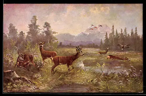 Künstler-AK Rehe im sumpfigen Gelände