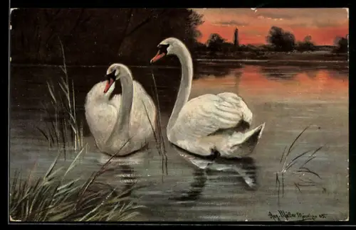 Künstler-AK August Müller - München: Schwanenpaar auf einem See im Abendrot