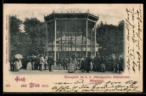 AK Wien, Menagerie im Schlossgarten Schönbrunn, Affenkäfig