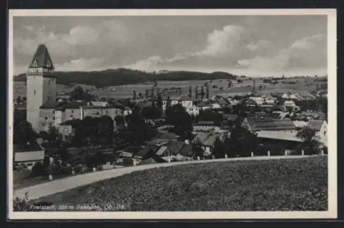 AK Freistadt, Ortsansicht mit Kirche