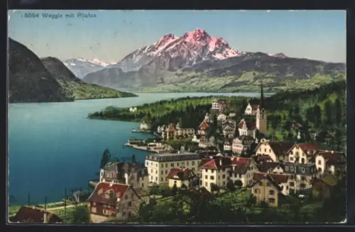 AK Weggis, Ortsansicht mit Vierwaldstätter See und Pilatus