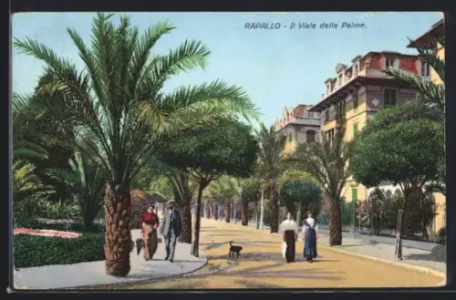 AK Rapallo, il viale delle Palme