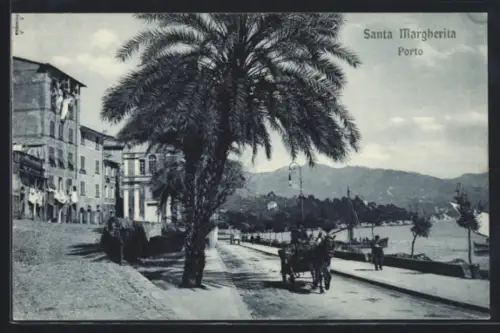 AK Santa Margherita, Porto, Eselgespann