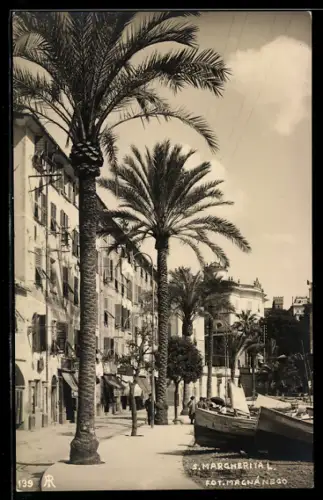 AK Santa Margherita, Strassenpartie mit Palmen