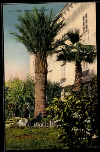 AK Isola Madre /Lago Maggiore, Anwesen und Park mit Palmen