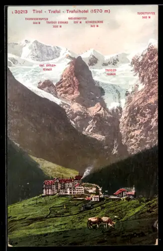 AK Trafoi /Tirol, Trafoihotel, Trafoier Eiswand, Schneeglocke und Nashornspitze