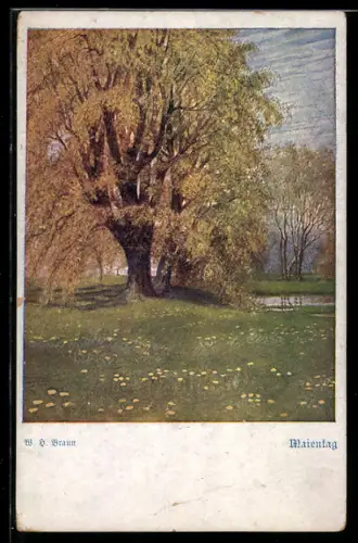 AK Deutscher Schulverein Nr. 1203: Maientag von W. H. Braun