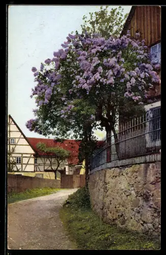 Künstler-AK Photochromie Nr. 4900: Spaziergang im Frühling