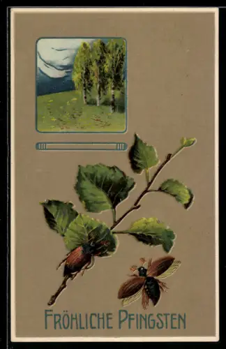AK Fröhliche Pfingsten, Maikäfer am Birkenzweig