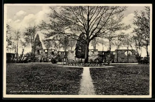 AK Grimma, Partie an der Klosterruine Nimbschen