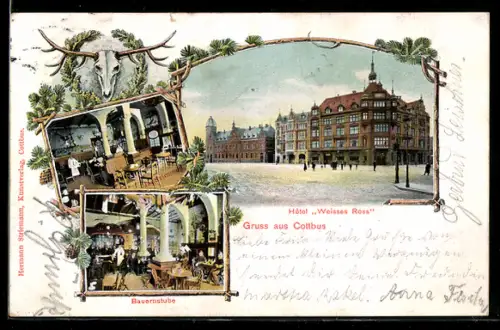 AK Cottbus, Hotel Weisses Ross, Jagdzimmer