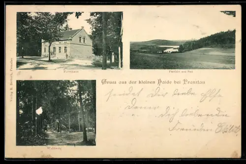 AK Prenzlau, Gasthof zur kleinen Heide, Partie am See, Waldweg