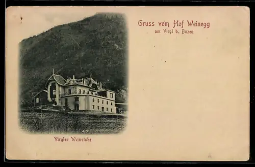 AK Bozen, Hof Weinegg am Virgl, Weinstube mit Umgebung