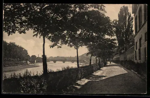 AK Torino, Viale lungo Po con alberi e ponte in lontananza