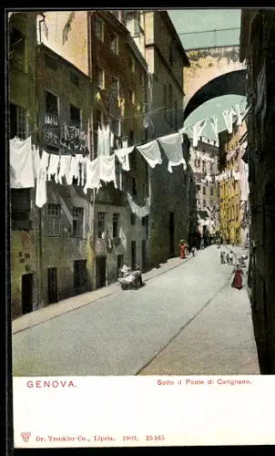 AK Genova, Sotto il Ponte di Carignano