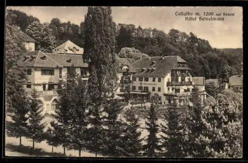 AK Collalbo /Renon, Hôtel Bemelmans circondato da alberi e colline