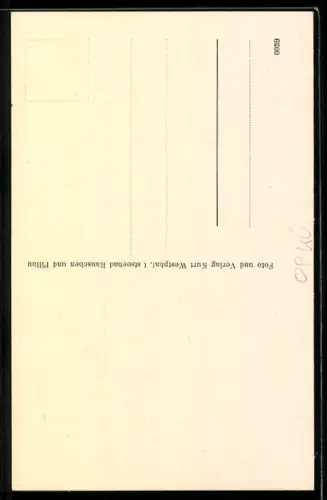 AK Rauschen, Blick v. d. Venusspitze