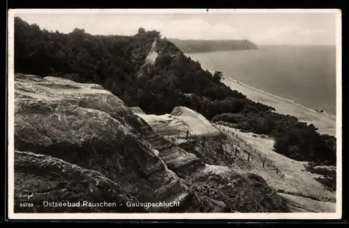 AK Rauschen, Ostseebad, Gausupschlucht