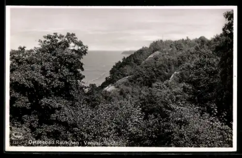 AK Rauschen a. d. Ostsee, Blick über die Venusschlucht auf die Ostsee