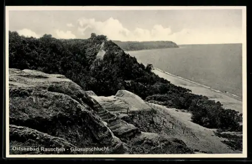 AK Rauschen / Ostsee, Gausupschlucht