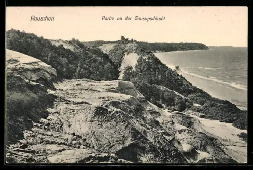 AK Rauschen a. d. Ostsee, Partie an der Gausupschlucht
