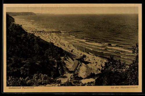 AK Rauschen, Badegäste am Strand nahe der Venusschlucht