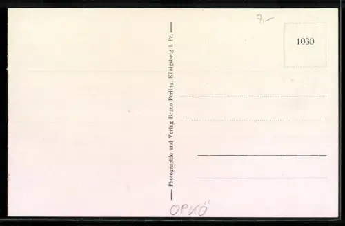 AK Rauschen, Panoramablick auf Strand und See