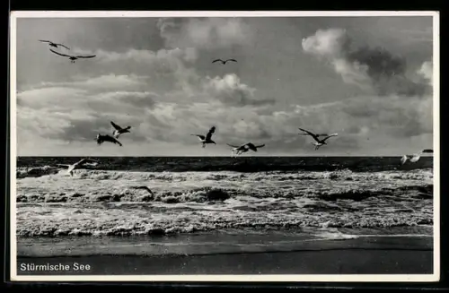AK Rauschen, Blick auf die Stürmische Ostsee