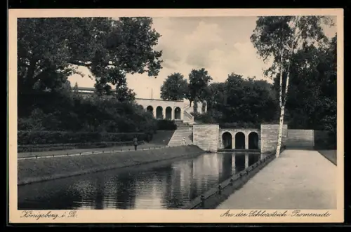 AK Königsberg i. Ostpr., Partie auf der Schlossteich-Promenade