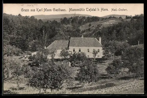 AK Horn, Gasthaus Mannmühle Tafatal Karl Mann mit umgebender Landschaft