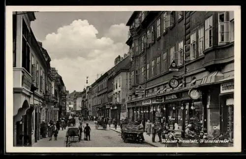 AK Wiener Neustadt, Wienerstrasse, belebte Geschäftsstrasse