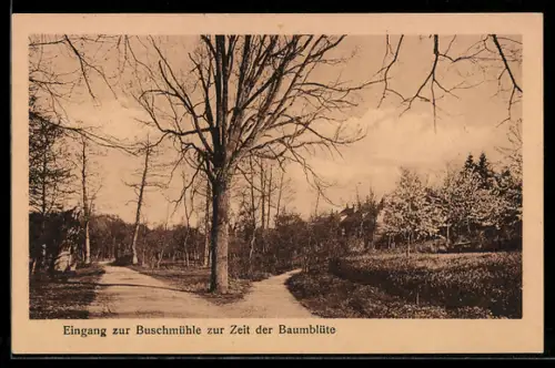 AK Frankfurt a. O., Gaststätte Buschmühle, Inh. Arthur Beyer, Buschmühle zur Zeit der Baumblüte