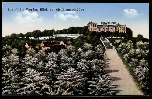 AK Werder / Havel, Blütenpracht am Gasthof Bismarckhöhe