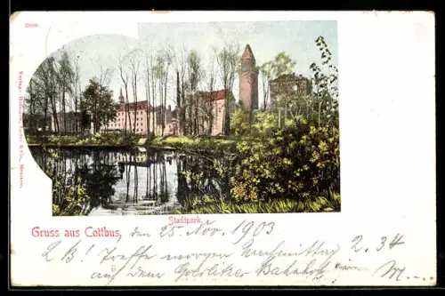 AK Cottbus, Stadtpark mit Teich und Turm-Panorama