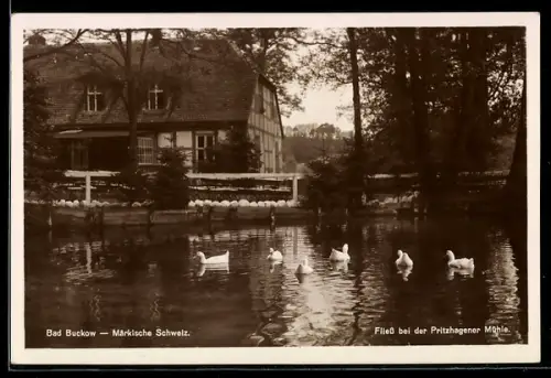 AK Bad Buckow /Märkische Schweiz, Fliess bei der Pritzhagener Mühle