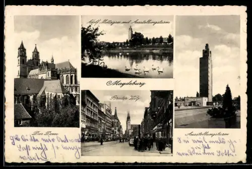 AK Magdeburg, Dom, Adolf-Mittag-See, Breiter Weg, Ausstellungsturm