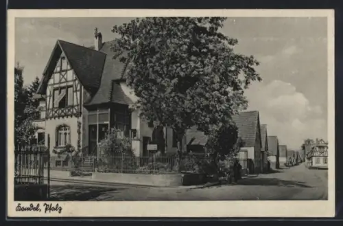 AK Kandel / Pfalz, Strassenpartie in einer Wohnsiedlung