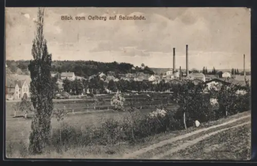 AK Salzmünde, Blick auf die Stadt vom Oelberg aus