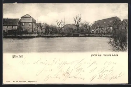 AK Bitterfeld, Partie am Grossen Teich
