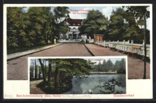 AK Bad Schmiedeberg /Halle, Eisenmoorbad, Promenadenweg am Kurhaus