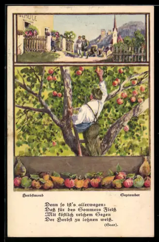 AK Bauer bei der Apfelernte
