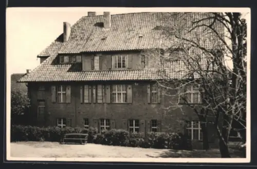 AK Feldberg /Meckl., Hotel-Pension Haus Holst