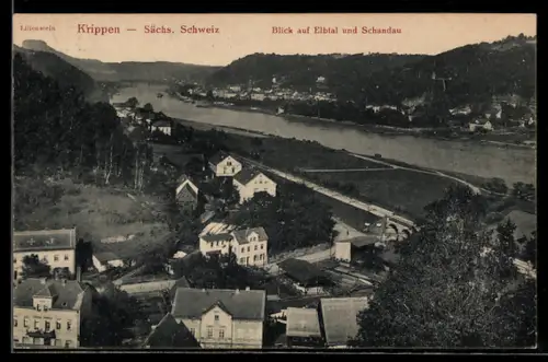 AK Krippen /Sächs. Schweiz, Blick auf Elbtal und Schandau