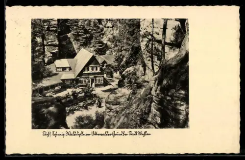 AK Stadt Wehlen /Sächs. Schweiz, Waldidylle im Uttewalder Grund