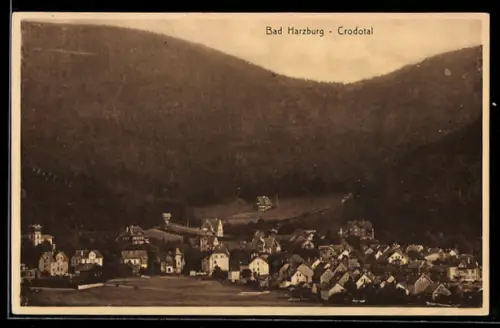 AK Bad Harzburg, Crodotal, Ortsansicht gegen die bewaldeten Anhöhen