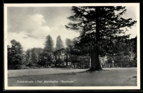 AK Friedrichroda, Waldcafe Restaurant Tanzbuche